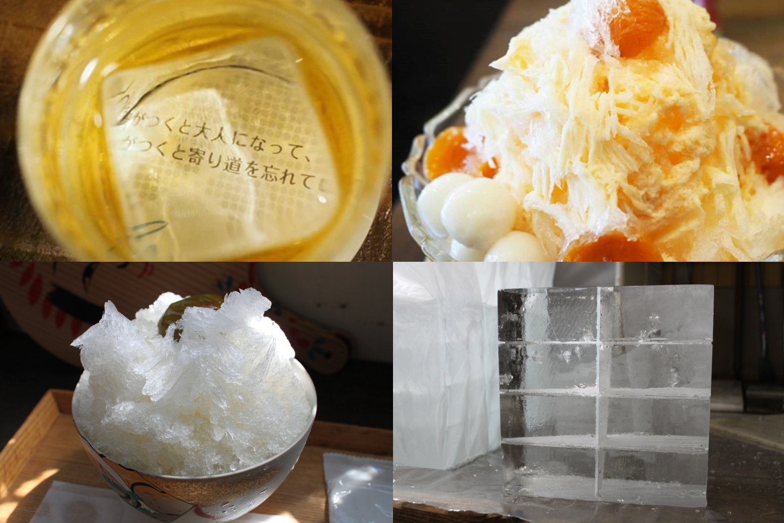 まちの名店を支える氷屋さん 藤崎商店 の 純氷 の魅力に迫る 白楽 菊名池古民家放送局